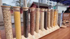 2025年慶元縣食物平